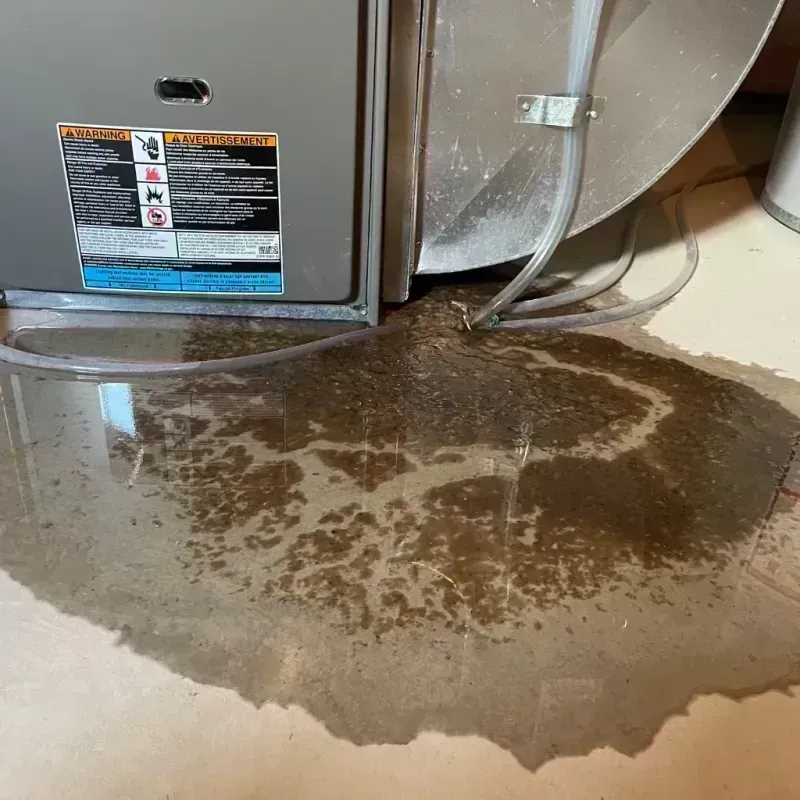 Appliance Leak Cleanup in Randolph County, IL